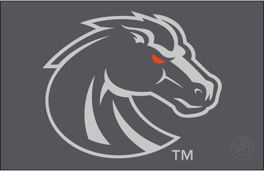 Boise State Broncos 2013-Pres Secondary Logo diy iron on heat transfer